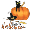 Halloween Kürbis-Katze