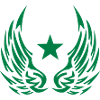 Star wing logo 28052