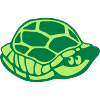 Animal carapace turtle 2805