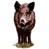 Wildschwein
