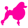 caniche