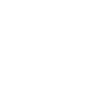 Papillon chat