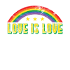 LGBT homosexuality