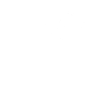 dandelion paragliding gift
