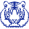 wild animal tiger 1