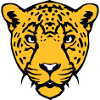 guepard wild animal 18