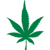 cannabis feuille 2905
