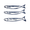 sprat