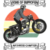 Sons of ibuprofen arthritis chapter