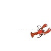 Friends You Are My Lobster