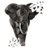 Elephant Geometric