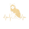 Siamese cat