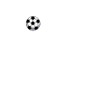 Coach Fussball Trainer Fussballtrainer
