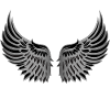 Wing Wing Wing