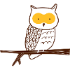 The owl