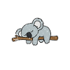 Koala bear