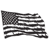 American Flag