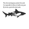 Requin blanc