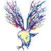 Oiseau de couleur
