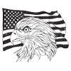 American Flag with American Eagle