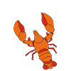 Lobster, lobster, underwater crayfish, lobster