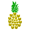 Ananas de raton laveur