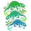 Kamæleon Krybdyr Krybdyr Leguan Camouflage