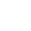 Raccoon paw
