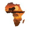 Lion safari