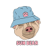 sun bear