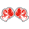 Boxhandschuhe