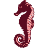 Conception de l'hippocampe