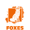 Foxes Fox