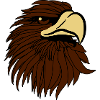 Eagle Bald Eagle