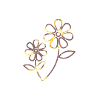 Blume