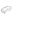 Küchenschabe