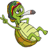 Chill toad, chilling turtle
