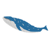 blue whale