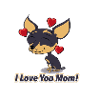 I Love You Mom