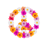 Fleurs de paix