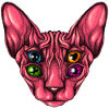 Sphynx Eyes
