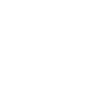 Jagdterrier