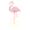 Unicycle flamingo summer gift
