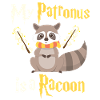 racoon
