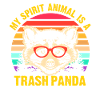 Raccoon Trash Panda
