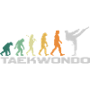 Taekwondo Retro Style - Evolution Mann