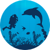 Diver diving underwater dive gift