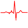 fighter