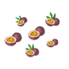Passion fruit pattern