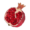pomegranate